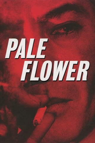 Pale Flower