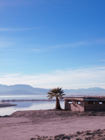 Photo by <a href="https://unsplash.com/@punkrockhippy_?utm_content=creditCopyText&utm_medium=referral&utm_source=unsplash">Ruth Bourke</a> on <a href="https://unsplash.com/photos/a-lone-palm-tree-in-the-middle-of-a-desert-Aoq09ThRvkQ?utm_content=creditCopyText&utm_medium=referral&utm_source=unsplash">Unsplash</a>       